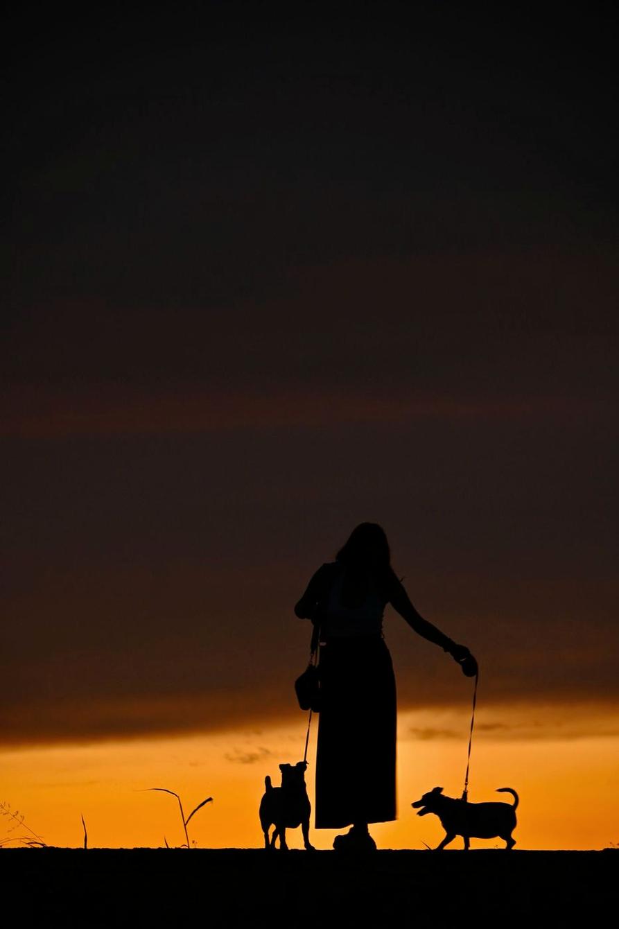 Silhouette of a person walking two dogs at sunset